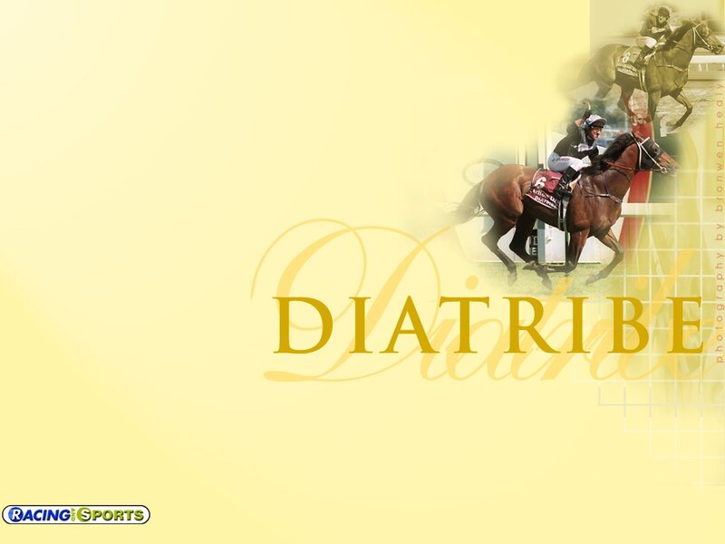 Horse Racing Action