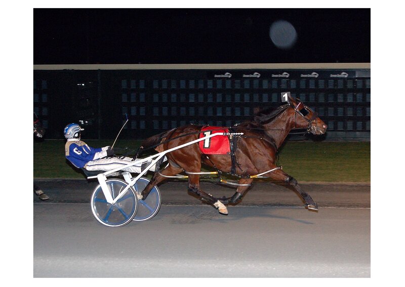 Horse racing at night