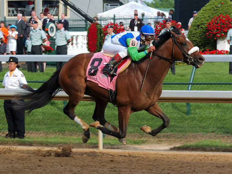 Horse Racing at Track
