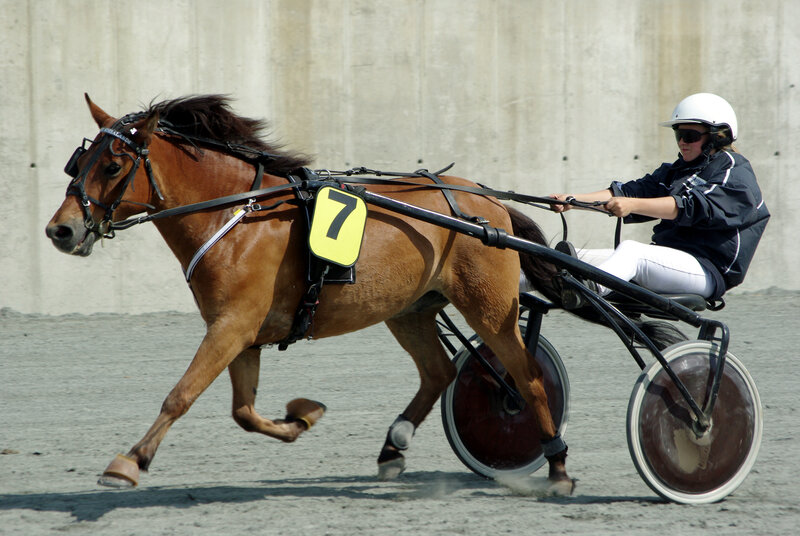 Horse racing in a sulky