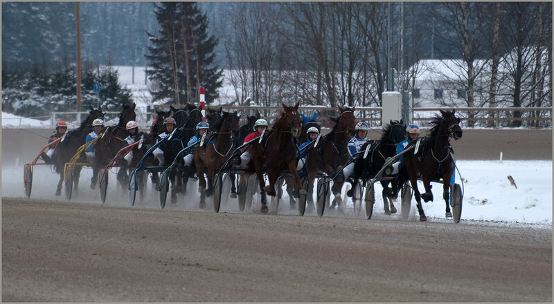 Horse racing on a snowy track