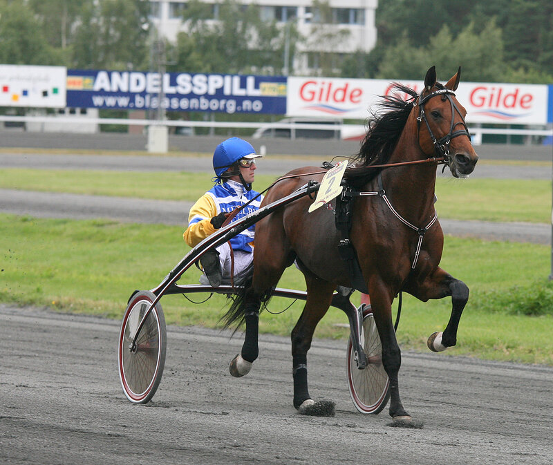 Horse racing on a track
