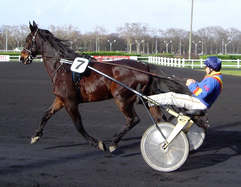 Horse racing on a track