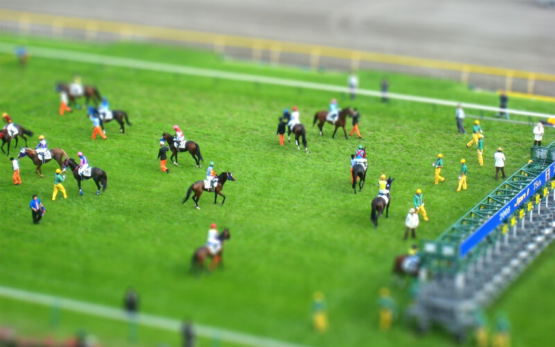 Horse racing scene in tilt-shift