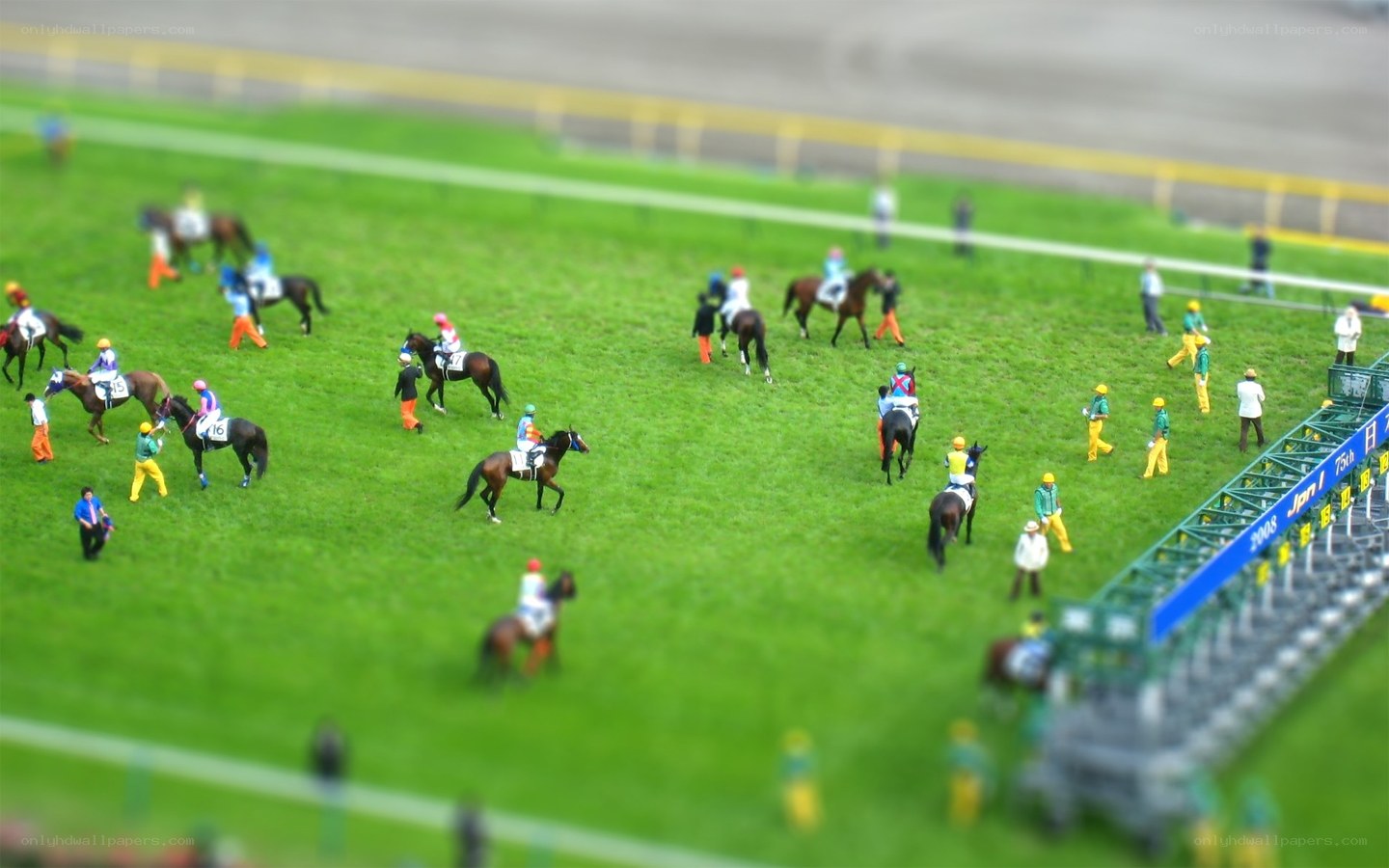 Horse racing scene in tilt-shift