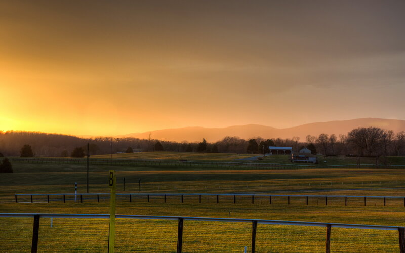 Horse Racing Track