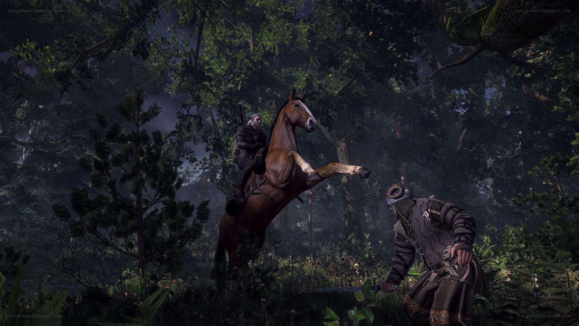horse rearing in forest
