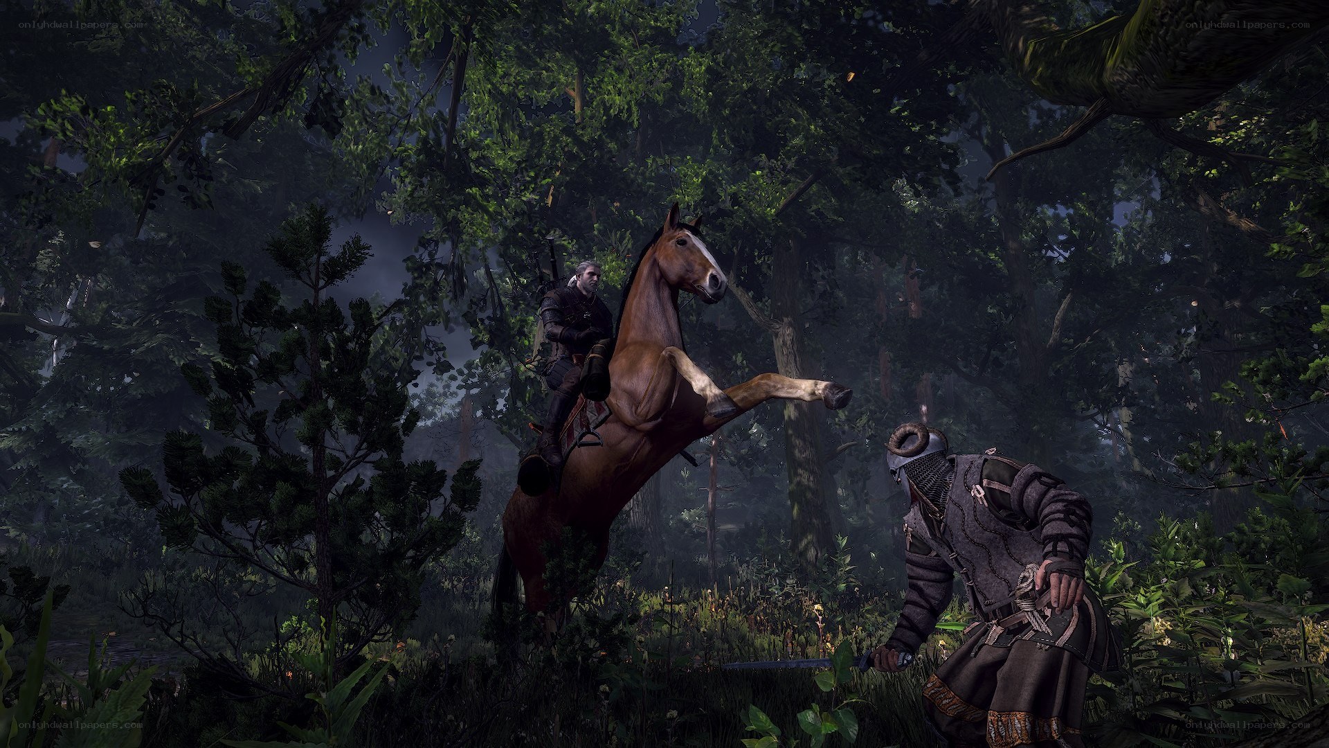 horse rearing in forest