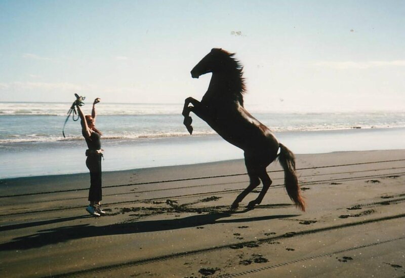 Horse rearing on beach