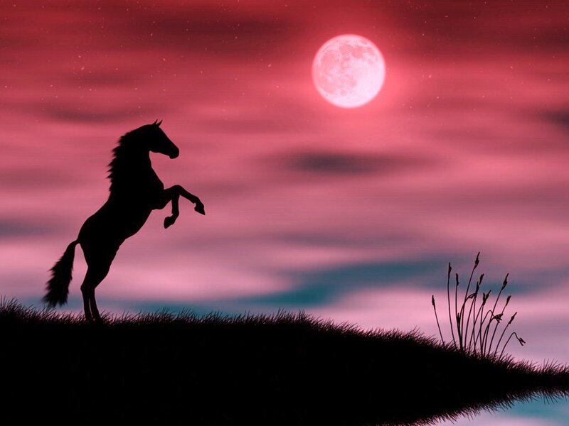 horse rearing under red moon