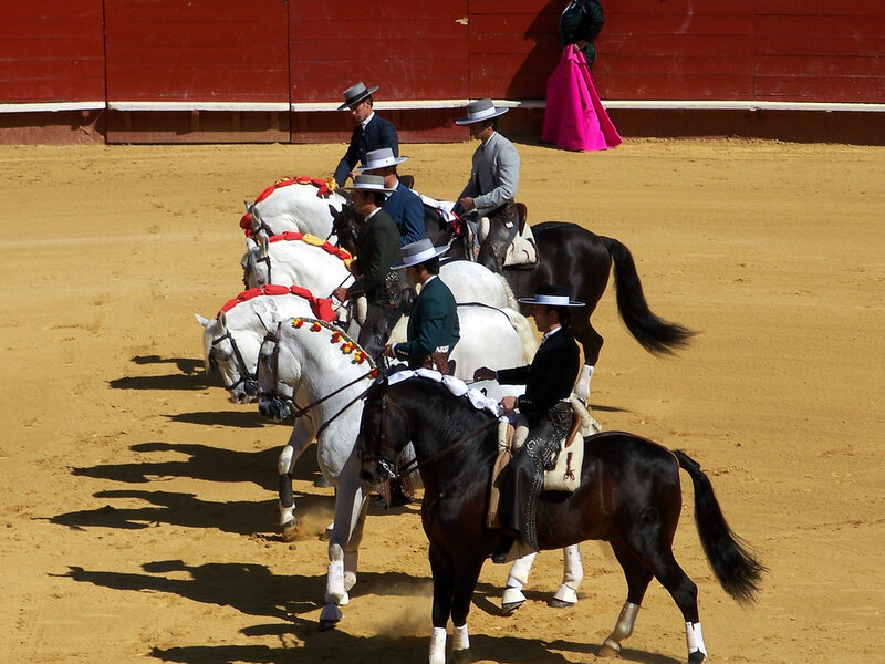 Horse riders in a sand arena