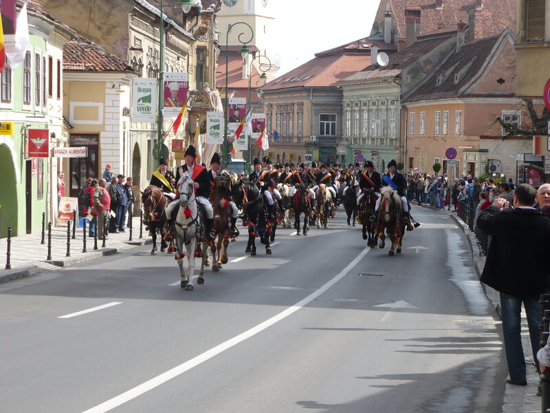 Horse Riders in Parade