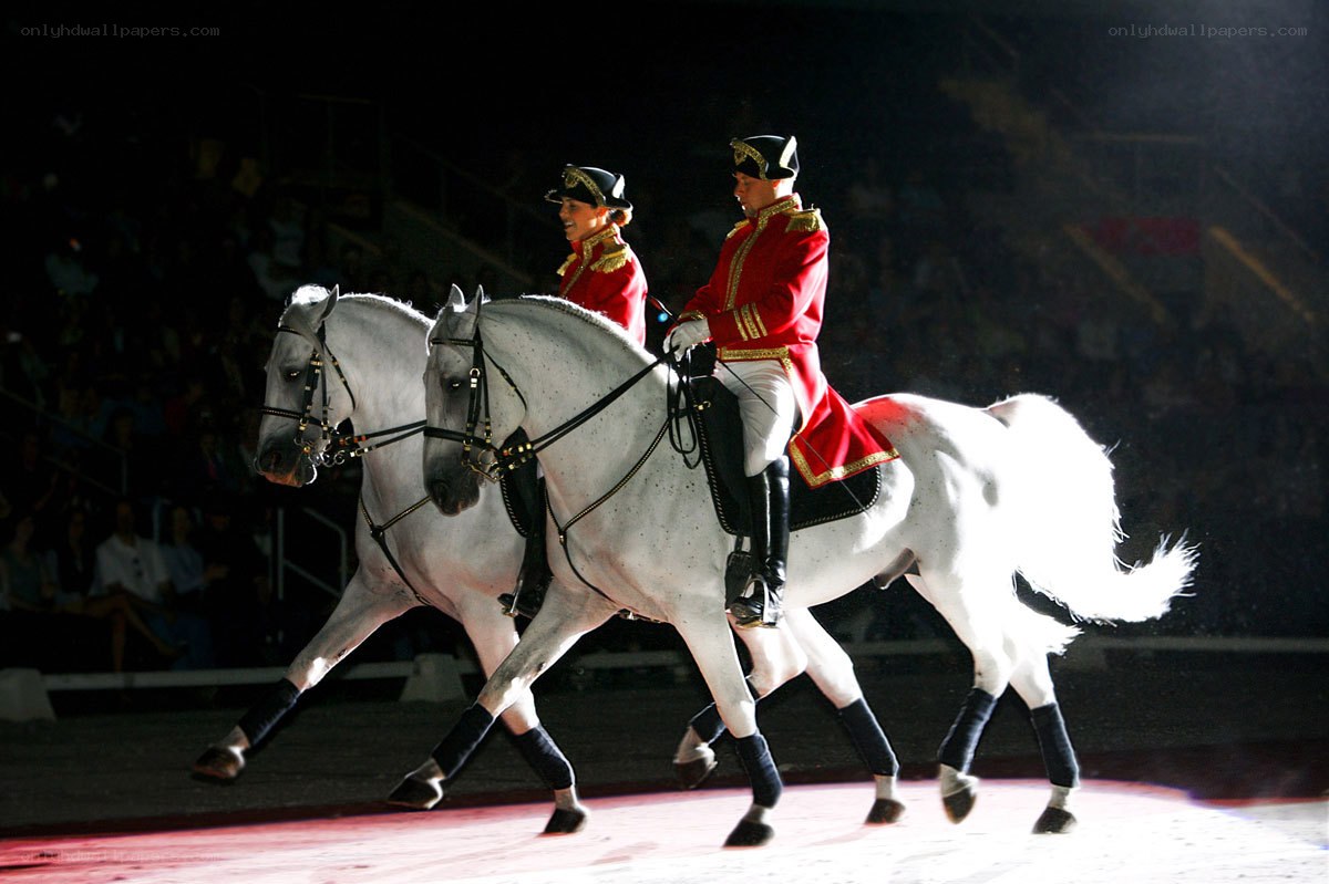 Horse riders in red uniforms