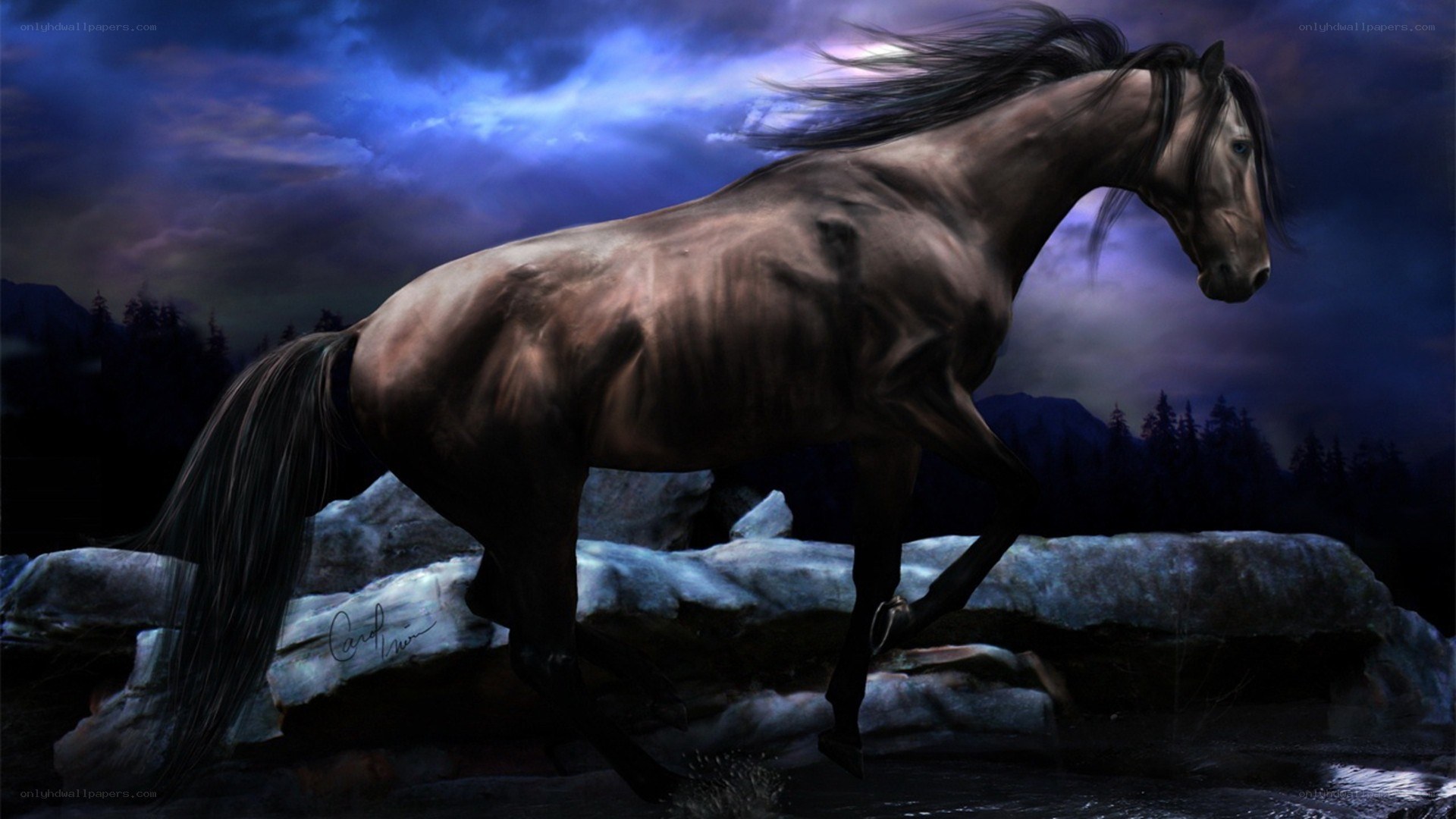 horse running at night