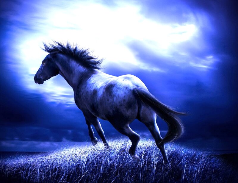 Horse Running at Night — Blue