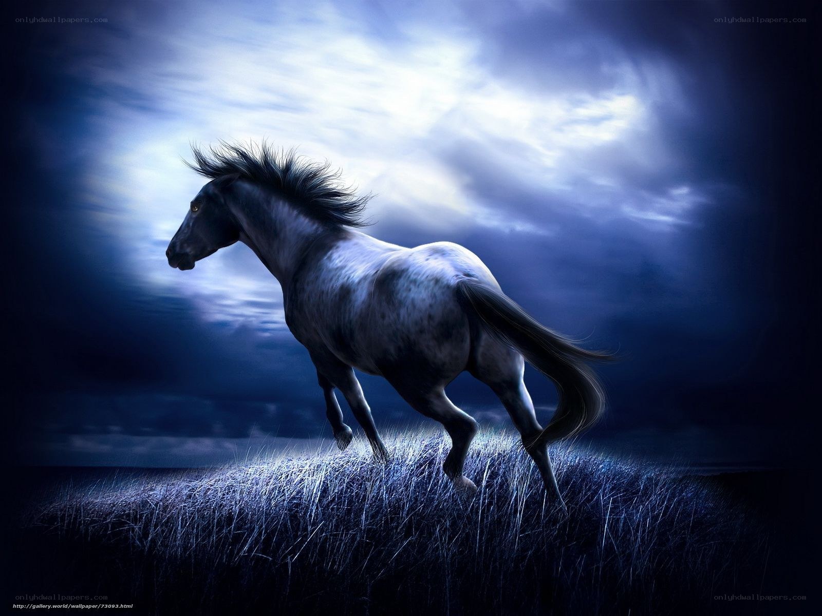 horse running at night