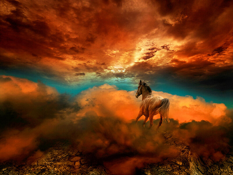 Horse Running in Clouds