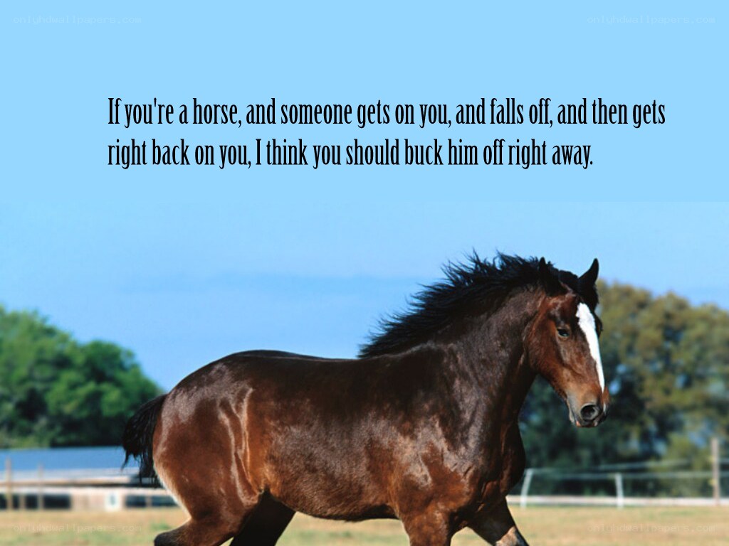 horse running in field
