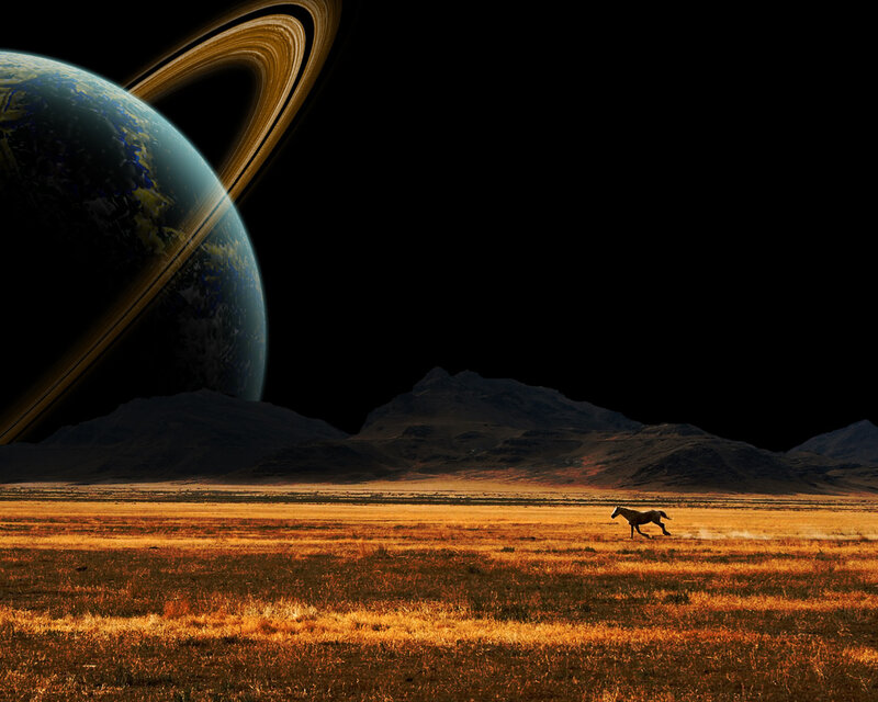 Horse Running in Field — Orange
