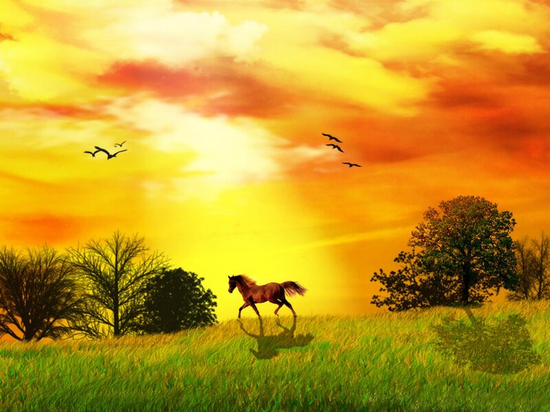 Horse Running in Field — Yellow