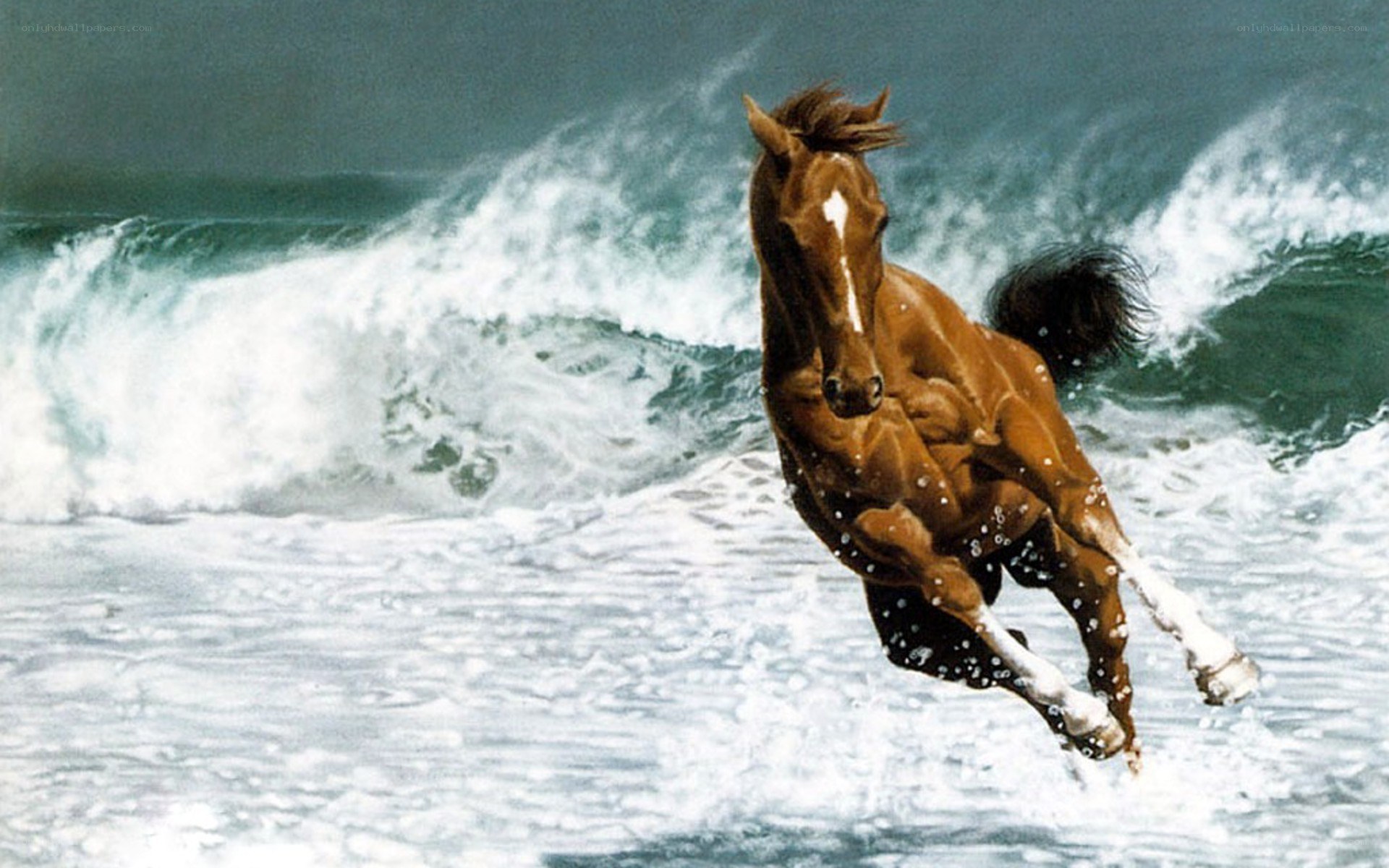 horse running in ocean waves