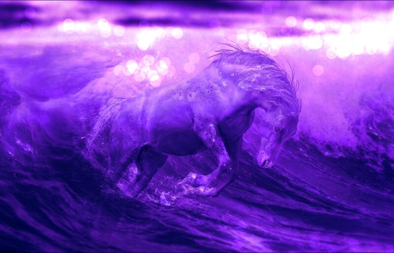 Horse Running in Water