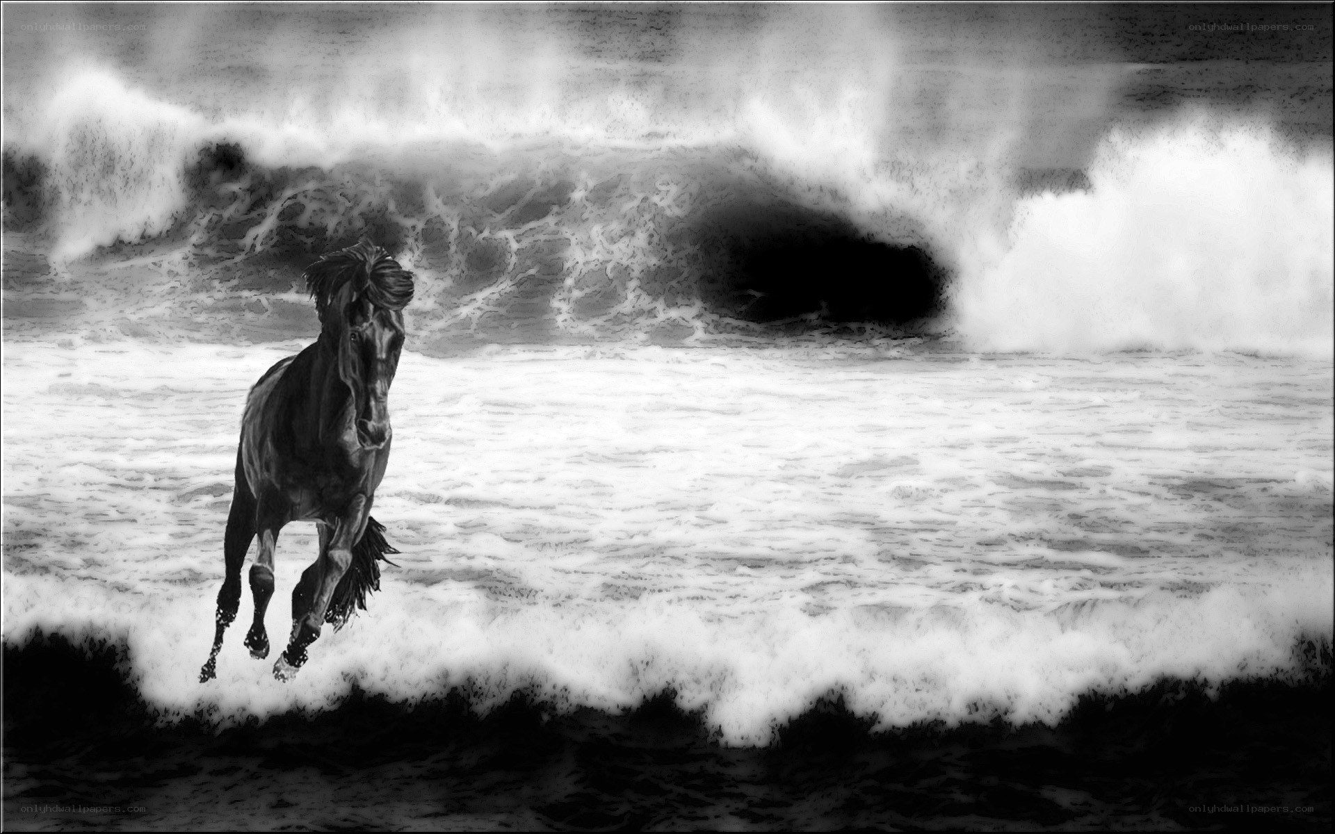 horse running on beach