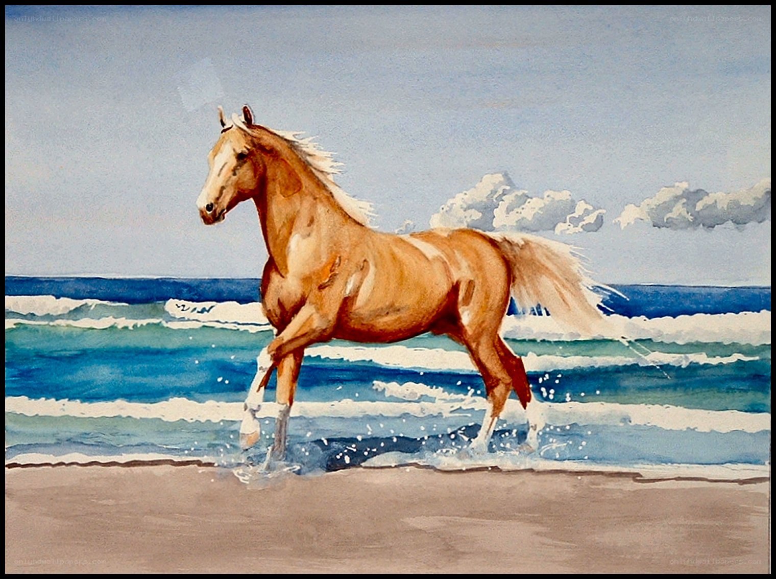 horse running on beach