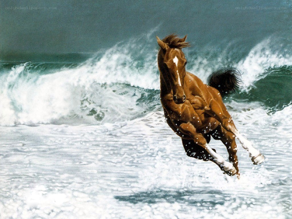 horse running on beach