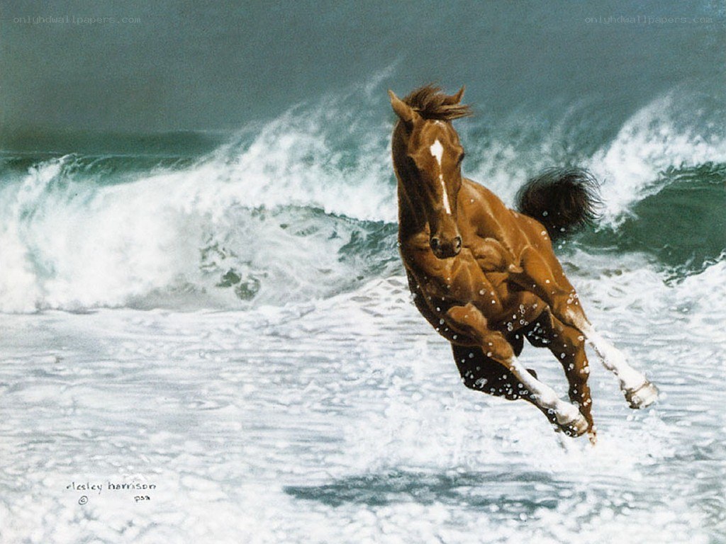horse running on beach