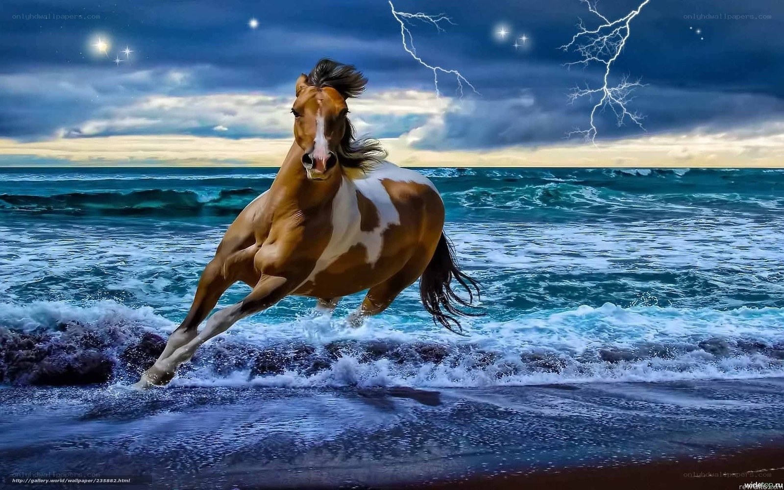 horse running on beach at night