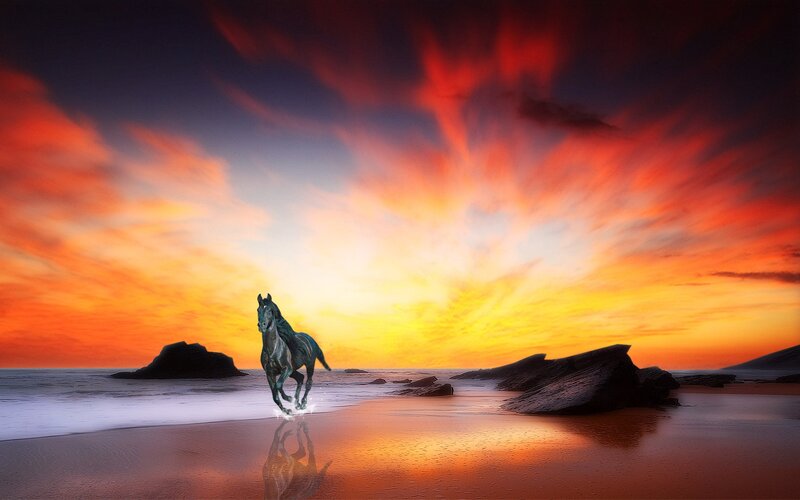 Horse Running on Beach — Orange