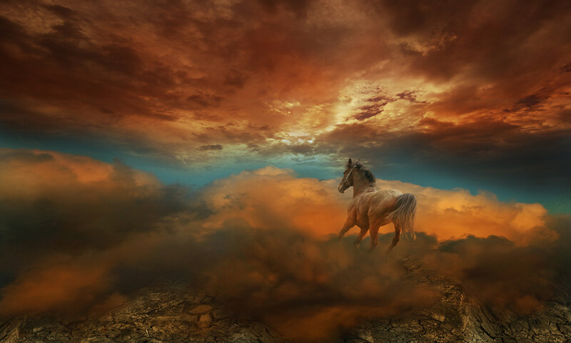 Horse Running on Clouds