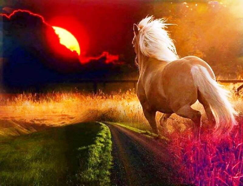 Horse Running on Road