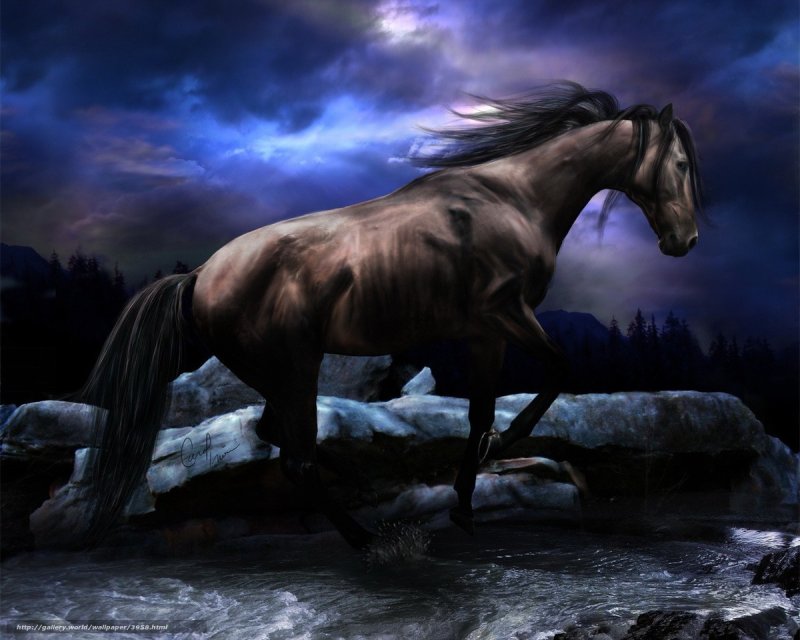 horse running through stream