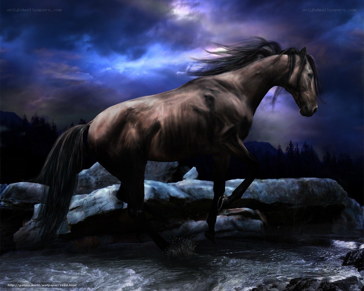 horse running through stream