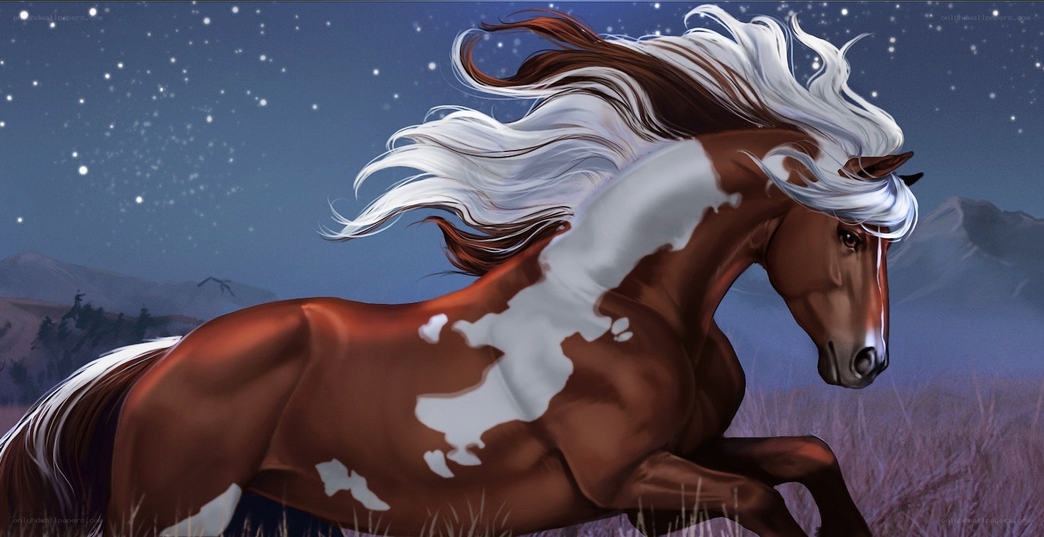 horse running under stars