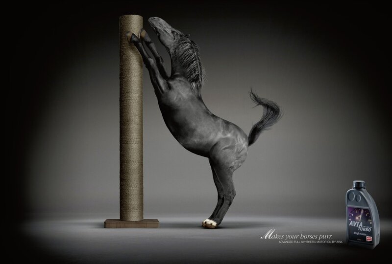 horse scratching post ad