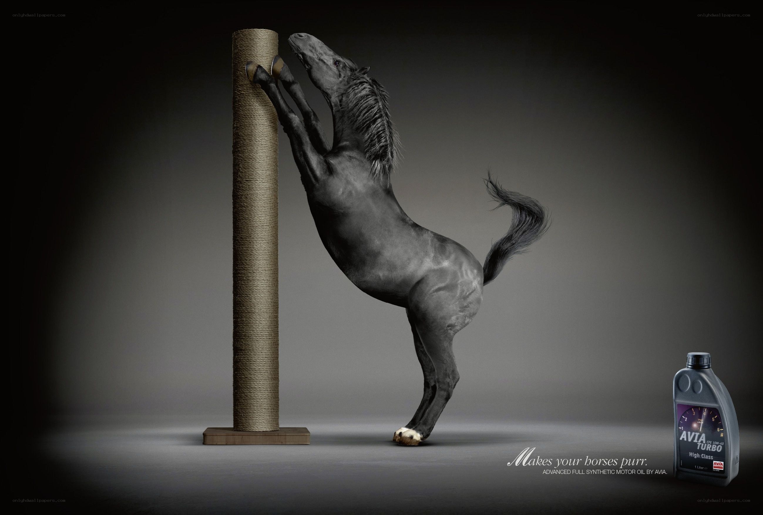 horse scratching post ad