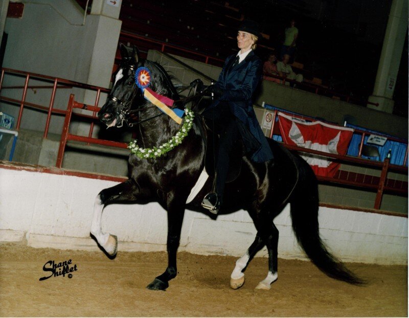 horse show winner with ribbon