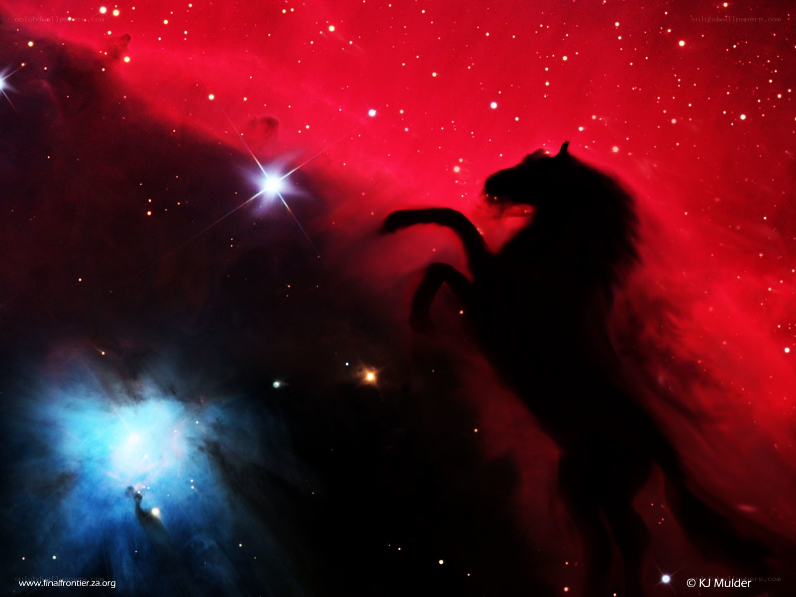 Horse silhouette in space