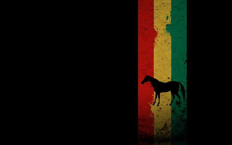 horse silhouette on rasta flag