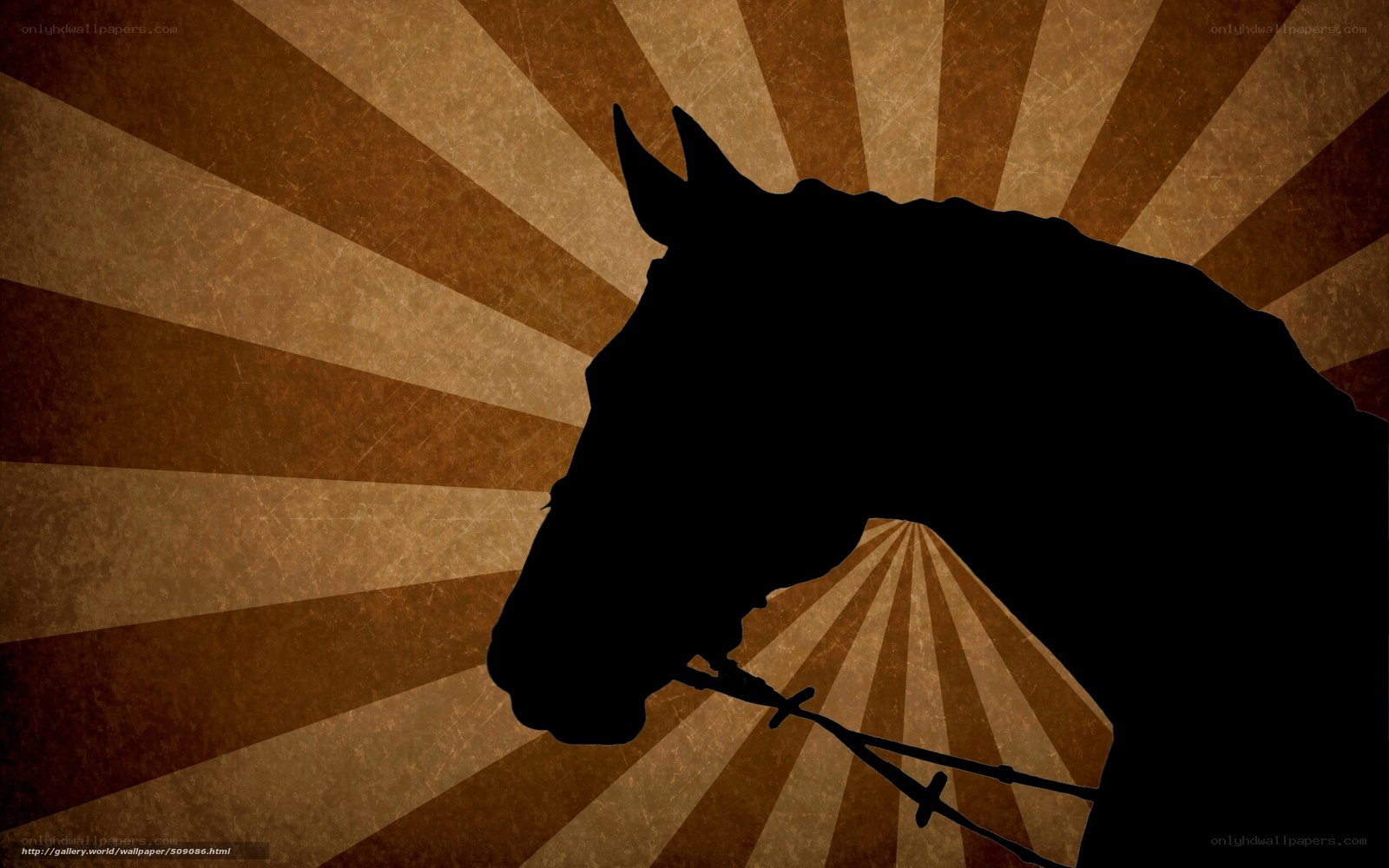 horse silhouette on sunburst