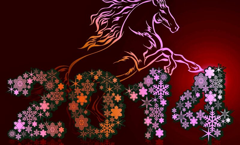 Horse Silhouette with Snowflakes