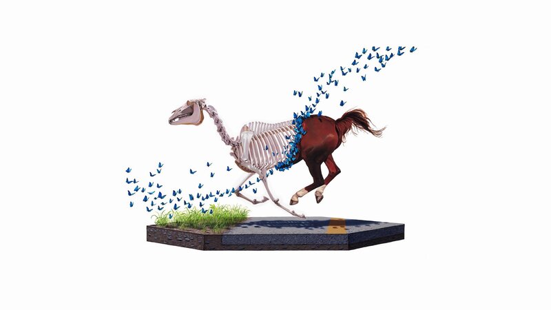 Horse Skeleton Running