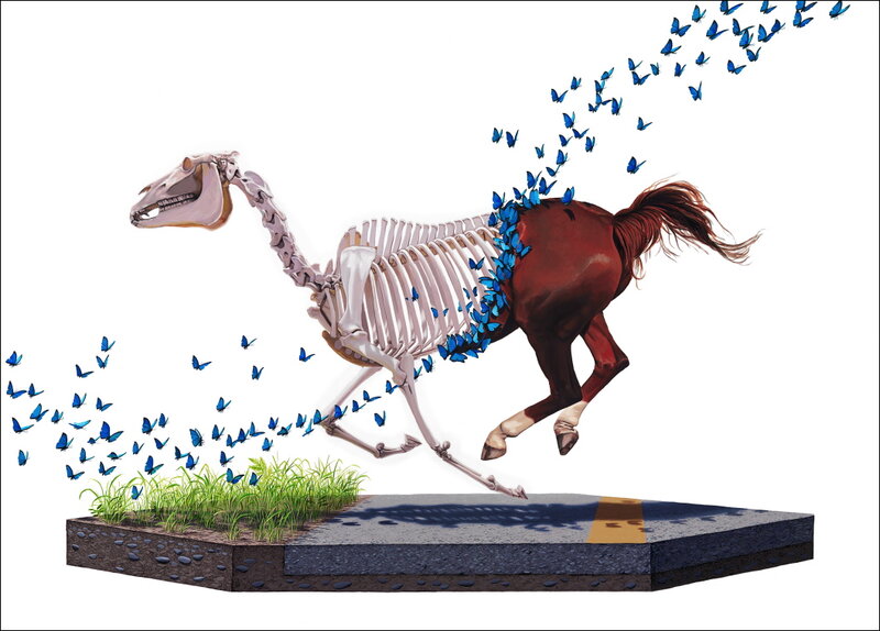 Horse Skeleton with Butterflies