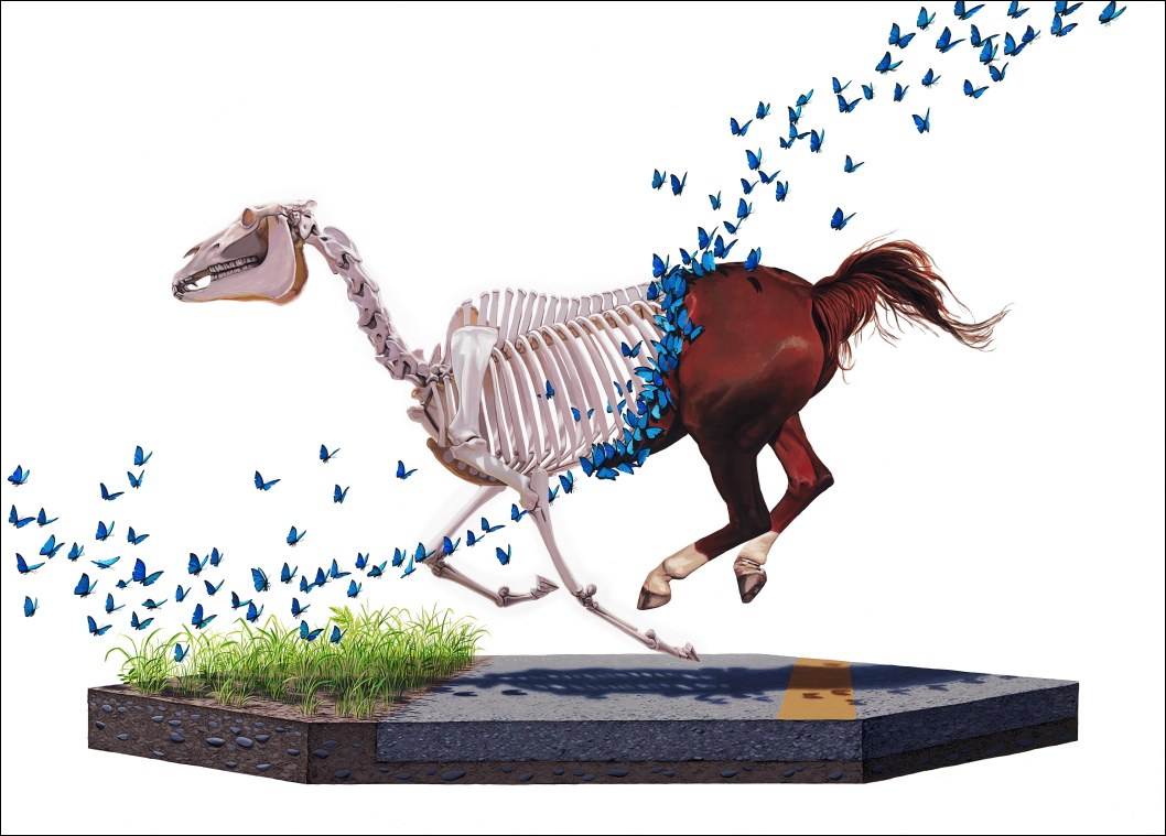 Horse Skeleton with Butterflies
