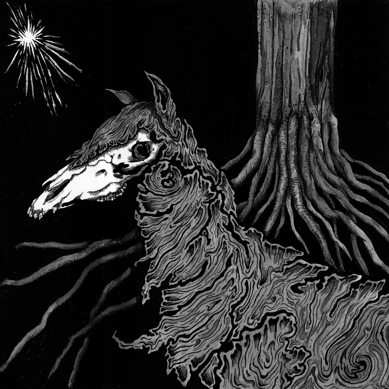 Horse Skull in Roots