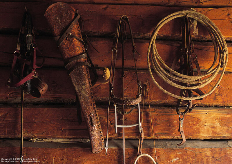 Horse Tack on Wall