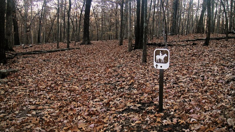 Horse Trail Sign in Forest